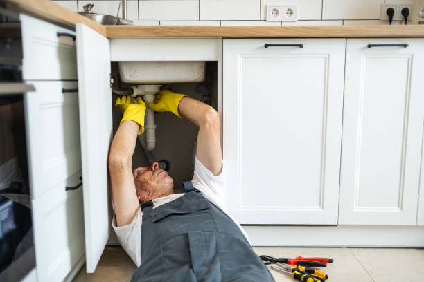 Best Local Plumber Services  in Pion Hills, CA