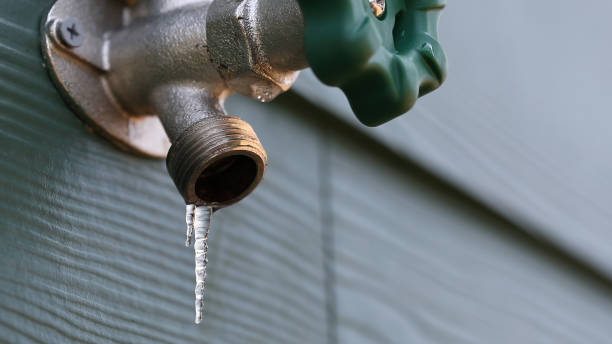 Best Plumbing Inspection Services  in Pion Hills, CA